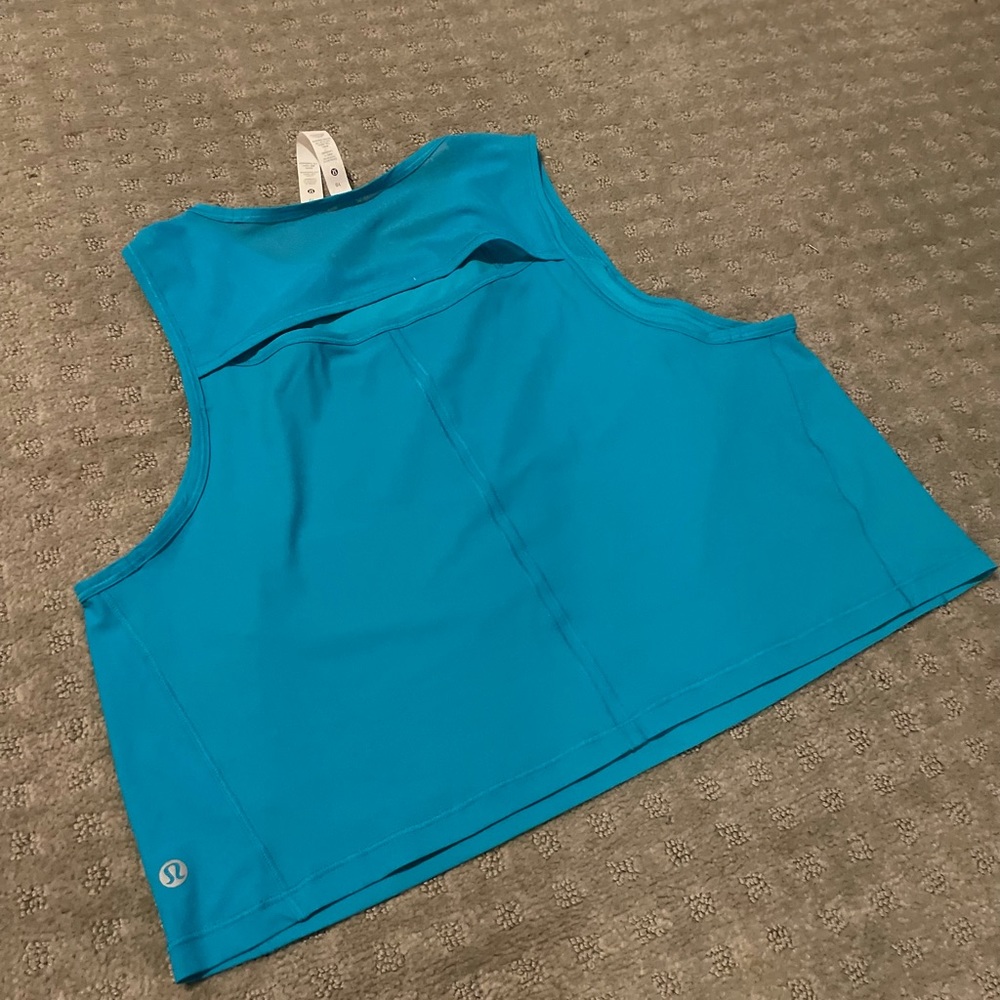 Lululemon Sculpt Tank Cropped